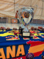 /album/fotogaleria-vi-copa-espana/e262e78b-104b-4128-a31f-aac905629b1e-jpg/